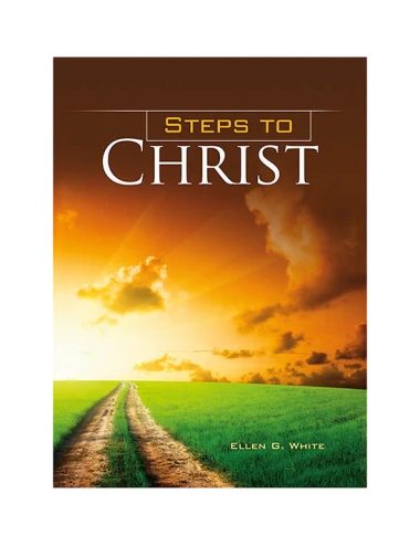 LE MEILLEUR CHEMIN ILLUSTRÉE