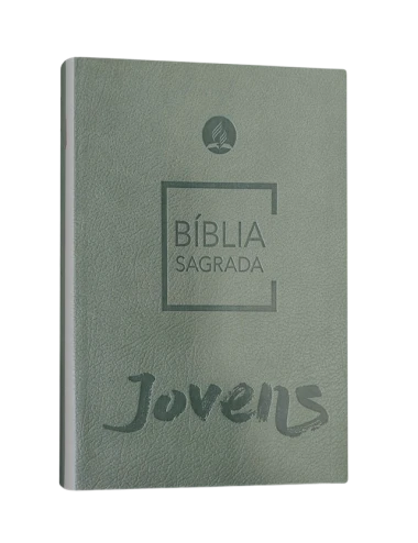 LA SAINTE BIBLE DES JEUNES
