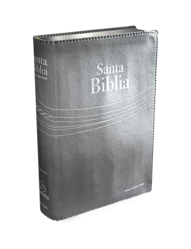 BIBLIA LETRA GRANDE