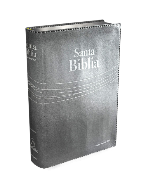 BIBLIA LETRA GRANDE
