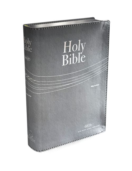 BIBLIA LETRA GRANDE