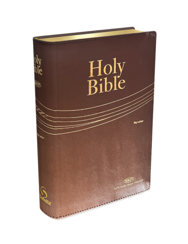 BIBLIA LETRA GRANDE
