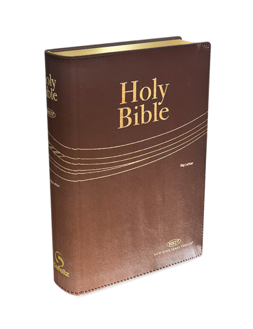 BIBLIA LETRA GRANDE