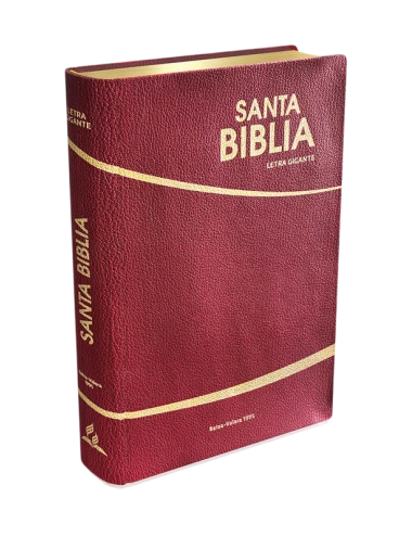 HOLY BIBLE GIANT LETTER