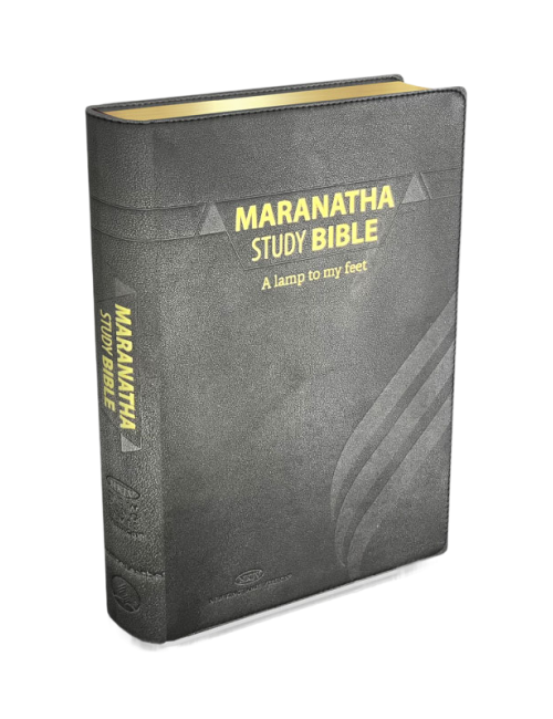 BIBLIA ESTUDIO MARANATA - PIEL