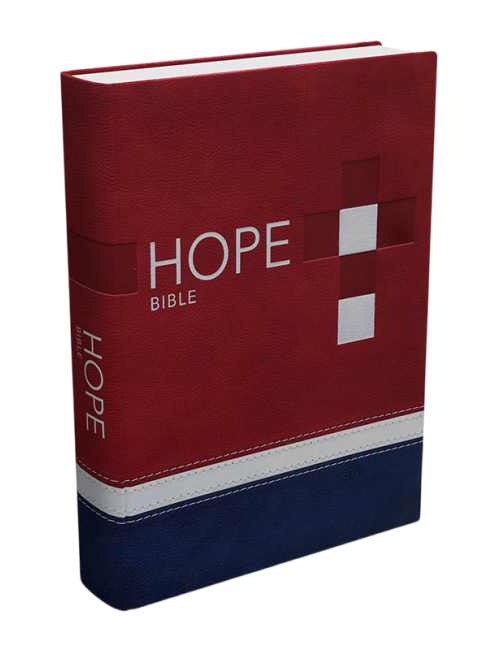 BIBLIA DE LA ESPERANZA