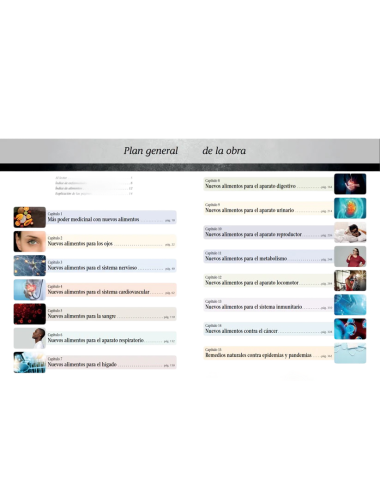 LE POUVOIR MÉDICINAL DES SUPERALIMENTS