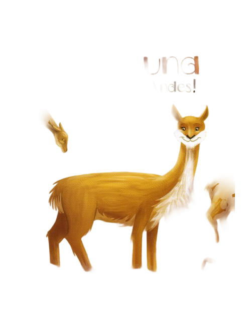 LA VICUÑA ¡VAMOS A LOS ANDES!