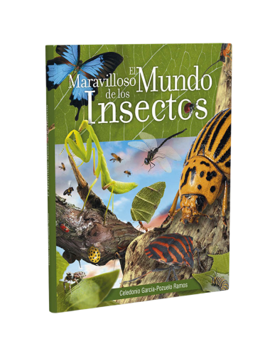 MARAVILLOSO MUNDO DE LOS INSECTOS