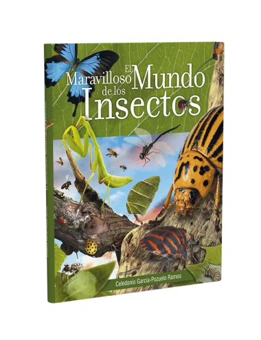 AMAZING WORLD OF INSECTS