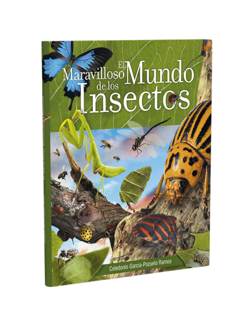 MARAVILLOSO MUNDO DE LOS INSECTOS