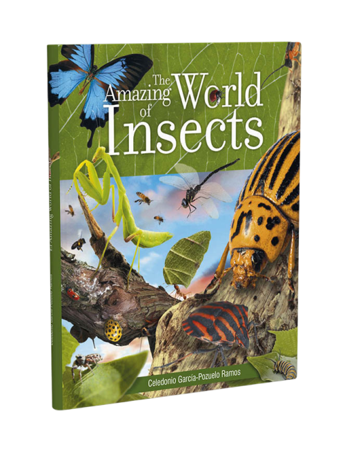 MARAVILLOSO MUNDO DE LOS INSECTOS
