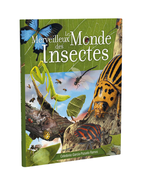 MARAVILLOSO MUNDO DE LOS INSECTOS