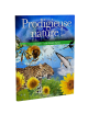 AMAZING NATURE