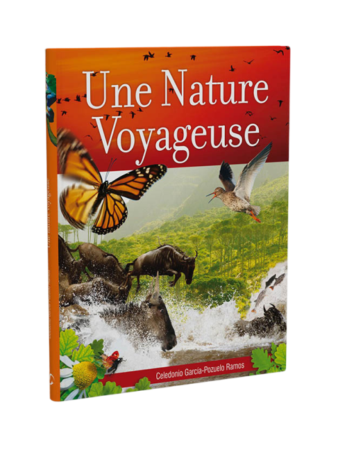 NATURALEZA VIAJERA