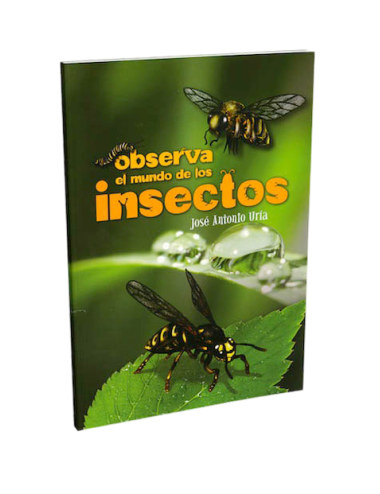 OBSERVA EL MUNDO DE LOS INSECTOS