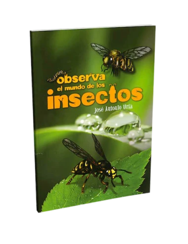 OBSERVA EL MUNDO DE LOS INSECTOS