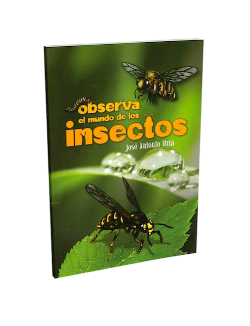 OBSERVA EL MUNDO DE LOS INSECTOS