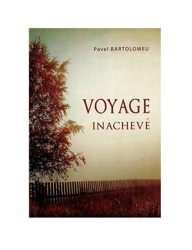 VOYAGE INACHEVÉ
