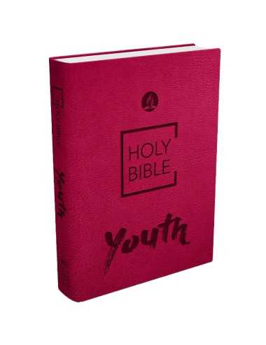 BIBLIA JOVENES