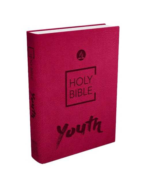 BIBLIA JOVENES