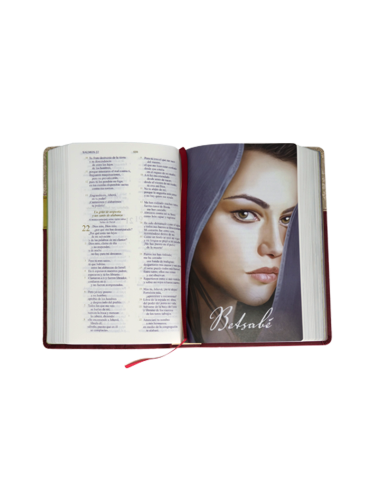 BIBLIA DE LA MUJER