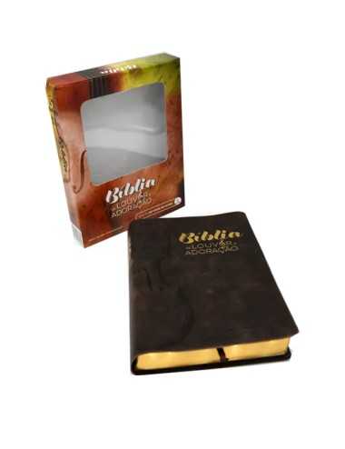 PRAISE AND WORSHIP BIBLE BONDED - LEATHER
