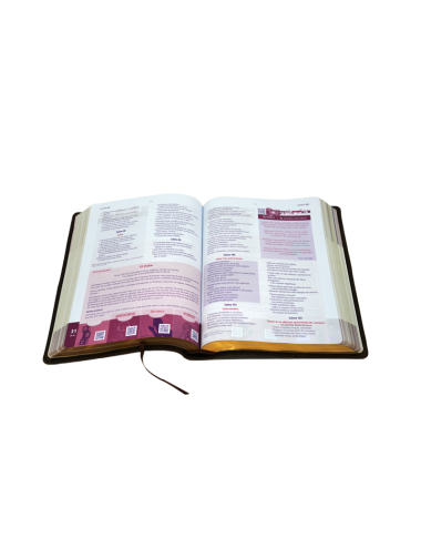 BIBLIA ALABANZA Y ADORACION - PIEL