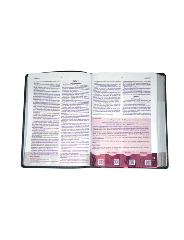 BIBLIA ALABANZA Y ADORACION