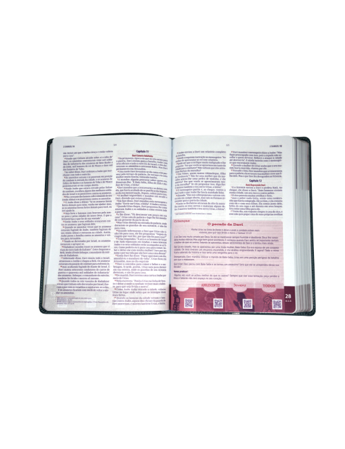 BIBLIA ALABANZA Y ADORACION