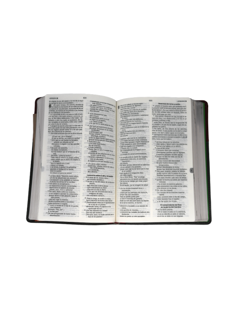 BIBLIA DEL ANCIANO