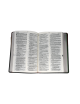 LA BIBLE DE L’ANCIEN