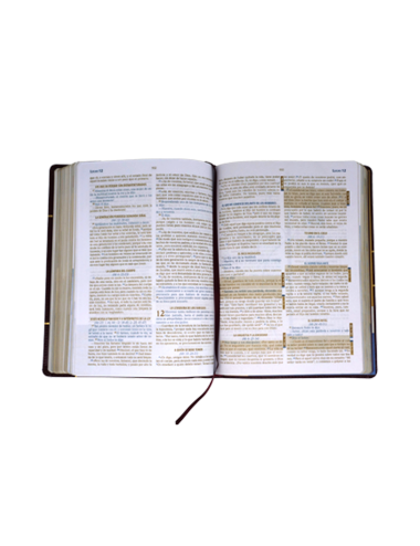 BIBLIA DEL DISCIPULO (PU)