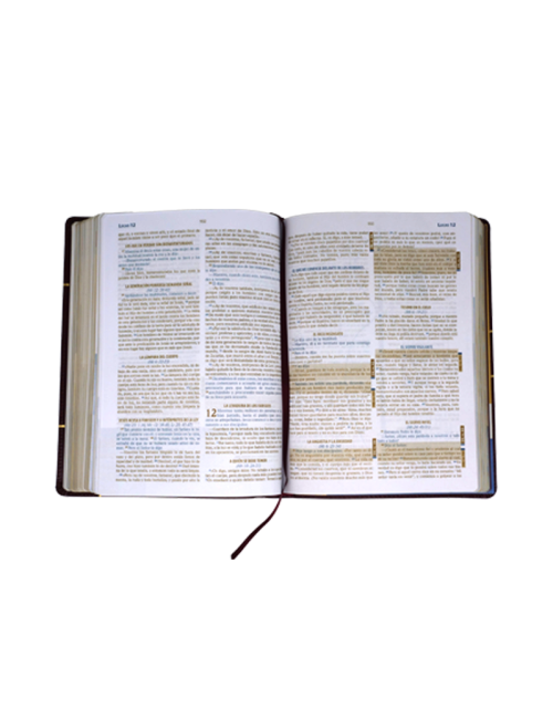 BIBLIA DEL DISCIPULO (PU)