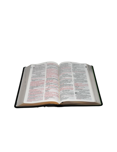 BIBLIA DEL PASTOR