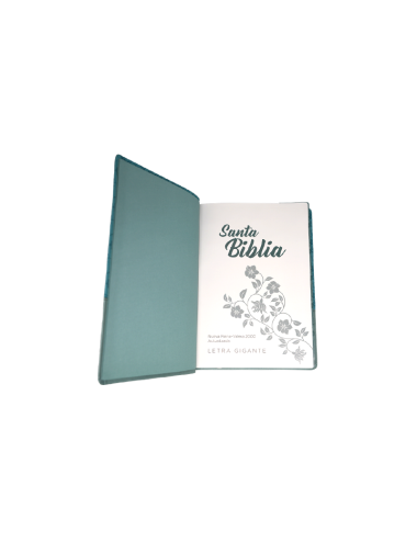 BIBLIA NRV 2000 L/GIGANTE VARIOS MODELOS