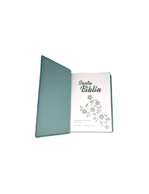 BIBLIA NRV 2000 L/GIGANTE VARIOS MODELOS