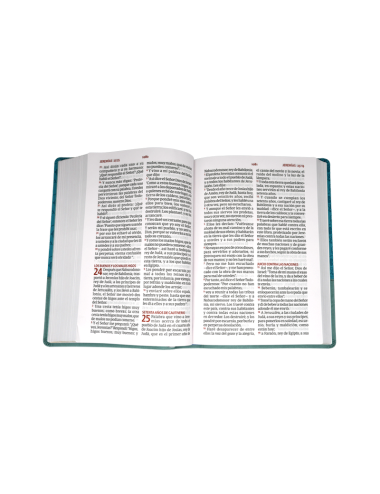 BIBLIA NRV 2000 L/GIGANTE VARIOS MODELOS