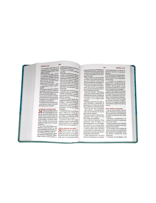 BIBLIA NRV 2000 L/GIGANTE VARIOS MODELOS