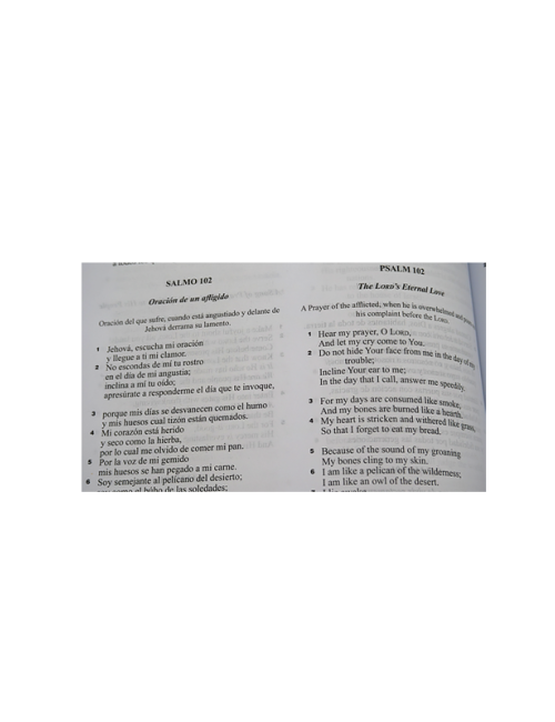 BIBLIA BILINGÜE