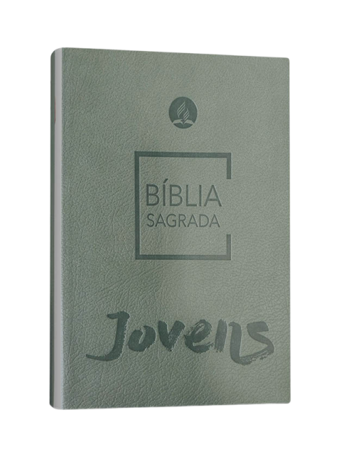 BIBLIA JOVENES