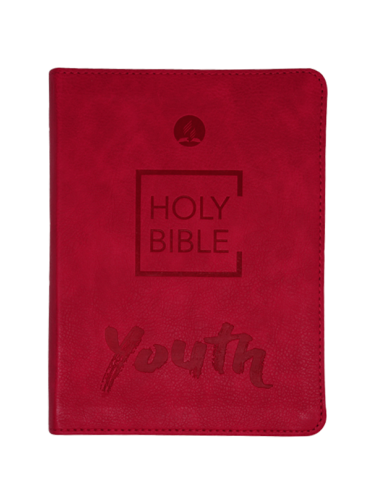 YOUTH BIBLE