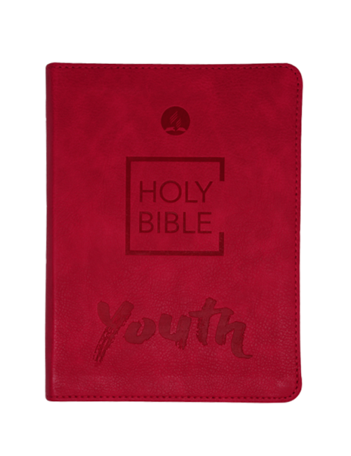 BIBLIA JOVENES