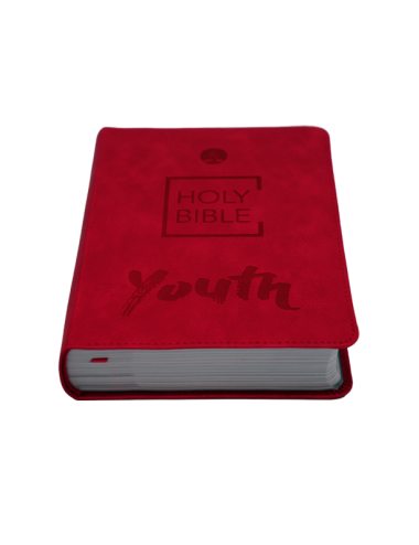 YOUTH BIBLE