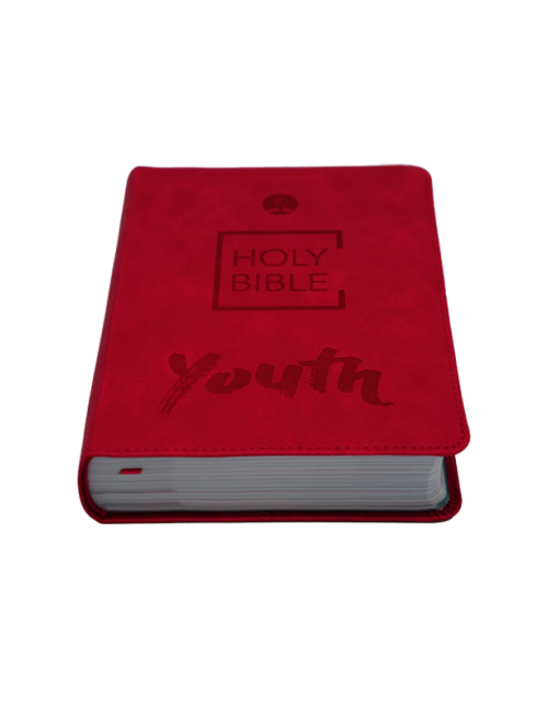 BIBLIA JOVENES