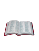 YOUTH BIBLE