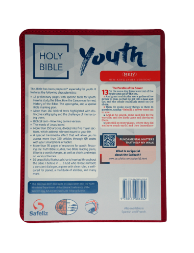 YOUTH BIBLE