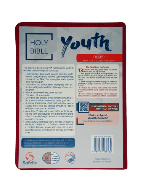 BIBLIA JOVENES