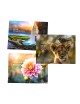 Pack Calendario 2027