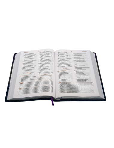 BIBLIA DEVOCIONAL COMENTADA POR A.BULLÓN